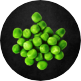 pea